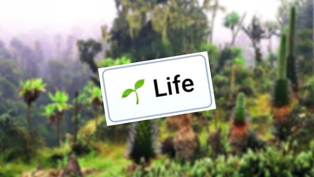 Infinite Craft's Life block atop a blurred image of a green, tropical forest