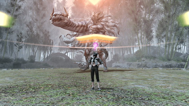 A screenshot of a confused player targeted with a stack AoE.