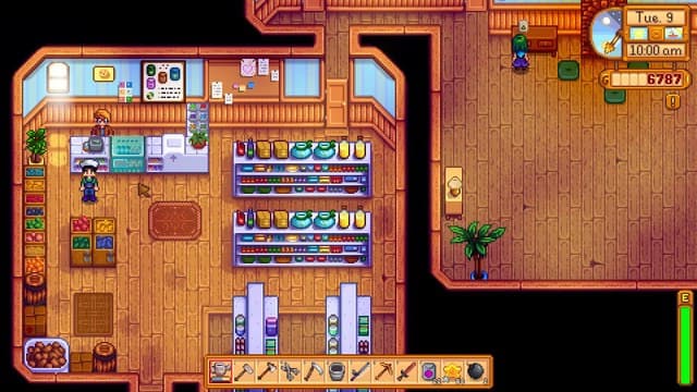 In Pierre's General Store in Stardew Valley