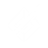 Perk Icon