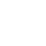 Perk Icon