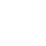 Perk Icon