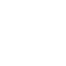 Perk Icon