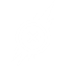 Perk Icon