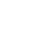 Perk Icon