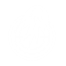 Perk Icon