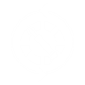 Perk Icon