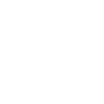 Perk Icon