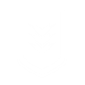 Perk Icon