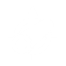 Perk Icon