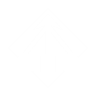 Perk Icon
