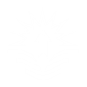 Perk Icon