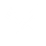 Perk Icon