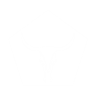 Perk Icon