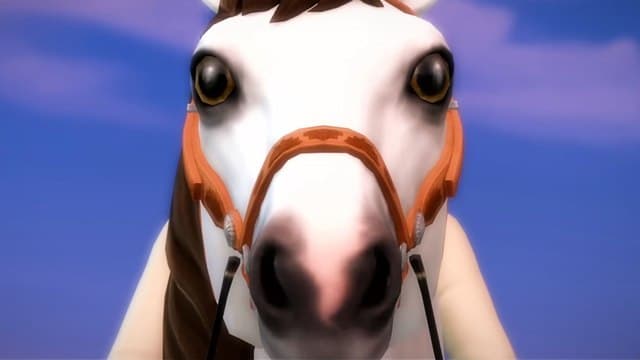 The Sims 4 Horse Ranch